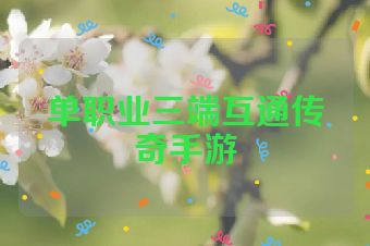单职业三端互通传奇手游