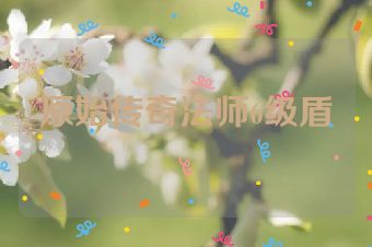 原始传奇法师6级盾