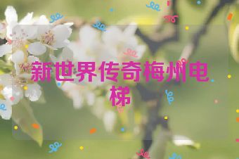 新世界传奇梅州电梯