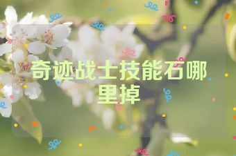 奇迹战士技能石哪里掉