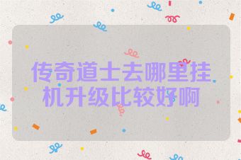 传奇道士去哪里挂机升级比较好啊