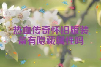 热血传奇怀旧版装备有隐藏属性吗
