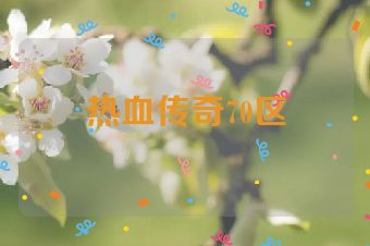 热血传奇70区