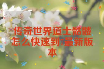 传奇世界道士骷髅怎么快速到7最新版本