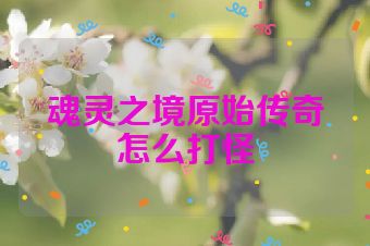魂灵之境原始传奇怎么打怪