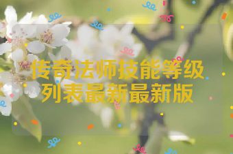 传奇法师技能等级列表最新最新版