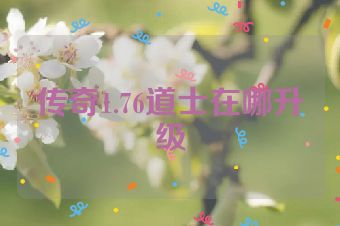 传奇1.76道士在哪升级