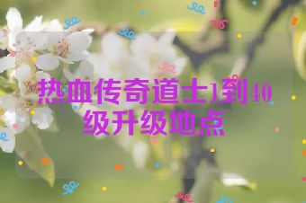热血传奇道士1到40级升级地点