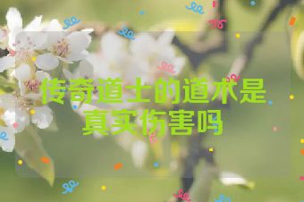传奇道士的道术是真实伤害吗