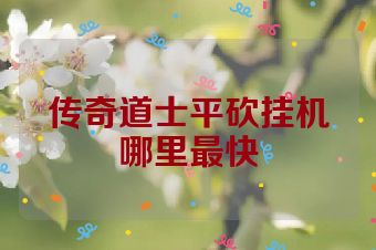 传奇道士平砍挂机哪里最快