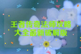 王者传奇法师攻略大全最新破解版