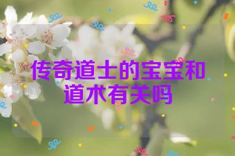 传奇道士的宝宝和道术有关吗