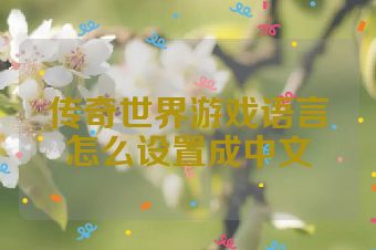 传奇世界游戏语言怎么设置成中文