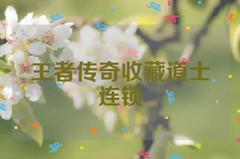 王者传奇收藏道士连锁