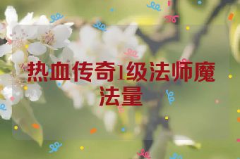 热血传奇1级法师魔法量