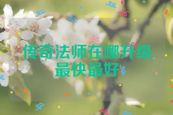 传奇法师在哪升级最快最好
