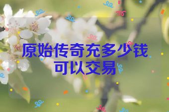 原始传奇充多少钱可以交易