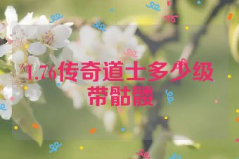 1.76传奇道士多少级带骷髅