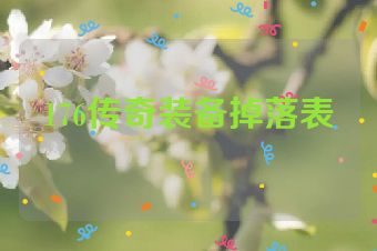 176传奇装备掉落表