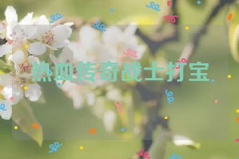 热血传奇战士打宝
