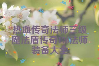 热血传奇法师三级魔法盾传奇176法师装备大全