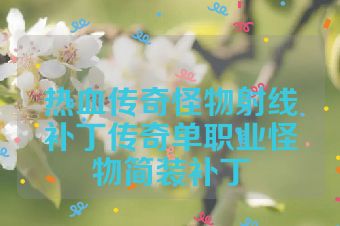 热血传奇怪物射线补丁传奇单职业怪物简装补丁