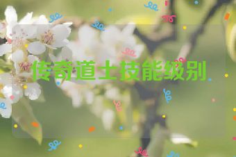 传奇道士技能级别