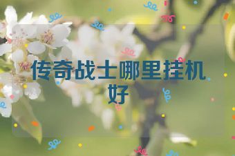 传奇战士哪里挂机好