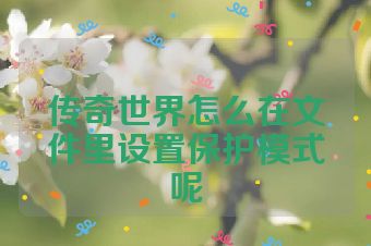 传奇世界怎么在文件里设置保护模式呢