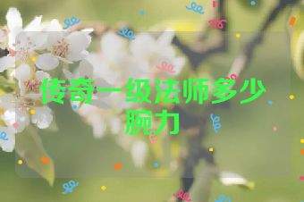 传奇一级法师多少腕力