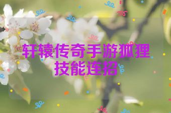 轩辕传奇手游狐狸技能连招