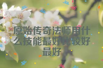 原始传奇法师用什么技能最好比较好最好