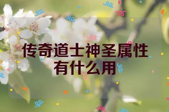 传奇道士神圣属性有什么用