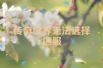 传奇世界无法选择区服