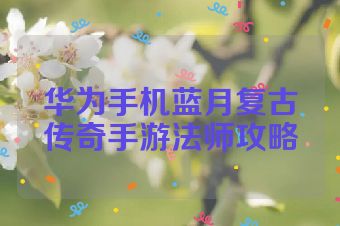 华为手机蓝月复古传奇手游法师攻略