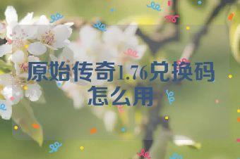 原始传奇1.76兑换码怎么用