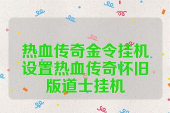 热血传奇金令挂机设置热血传奇怀旧版道士挂机