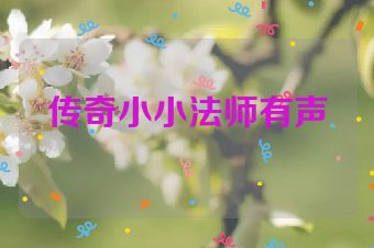 传奇小小法师有声