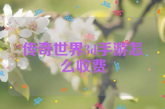 传奇世界3d手游怎么收费