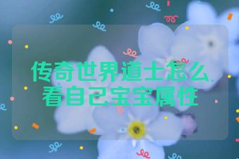 传奇世界道士怎么看自己宝宝属性
