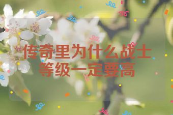 传奇里为什么战士等级一定要高