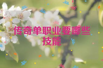 传奇单职业要哪些技能