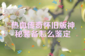热血传奇怀旧版神秘装备怎么鉴定