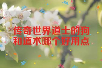 传奇世界道士的狗和道术哪个好用点