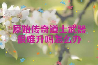 原始传奇道士武器很难升吗怎么办