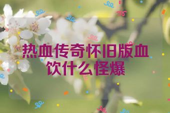 热血传奇怀旧版血饮什么怪爆