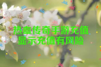 热血传奇手游充值显示充值有风险
