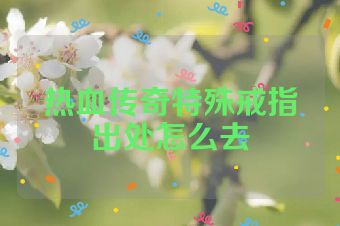 热血传奇特殊戒指出处怎么去