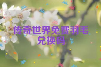 传奇世界免费羽毛兑换码