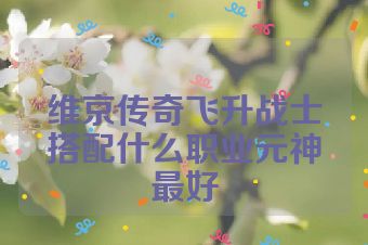 维京传奇飞升战士搭配什么职业元神最好